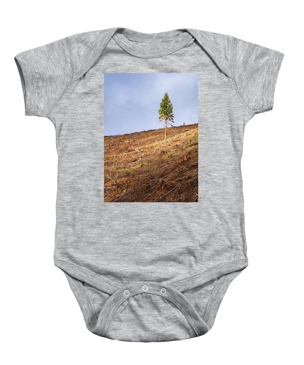 Lone Tree In A Clearcut Baby Onesie featuring the photograph Lone Tree in a Clearcut by Catherine Avilez