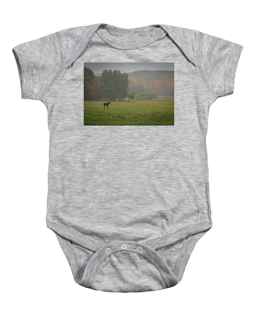 Foal Baby Onesie featuring the photograph Lonely Foal by Guy Coniglio