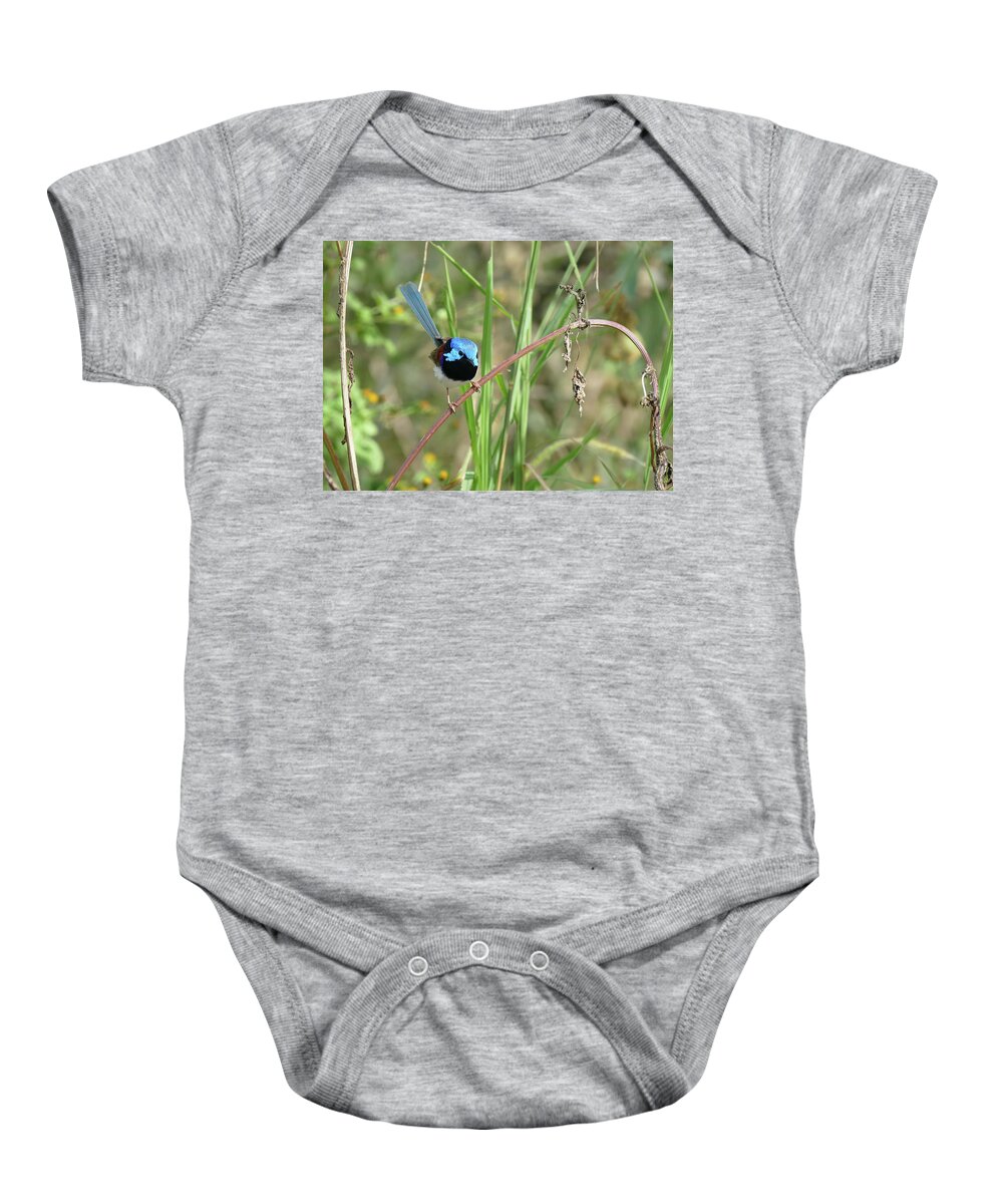 Animals Baby Onesie featuring the photograph Look At Me by Maryse Jansen