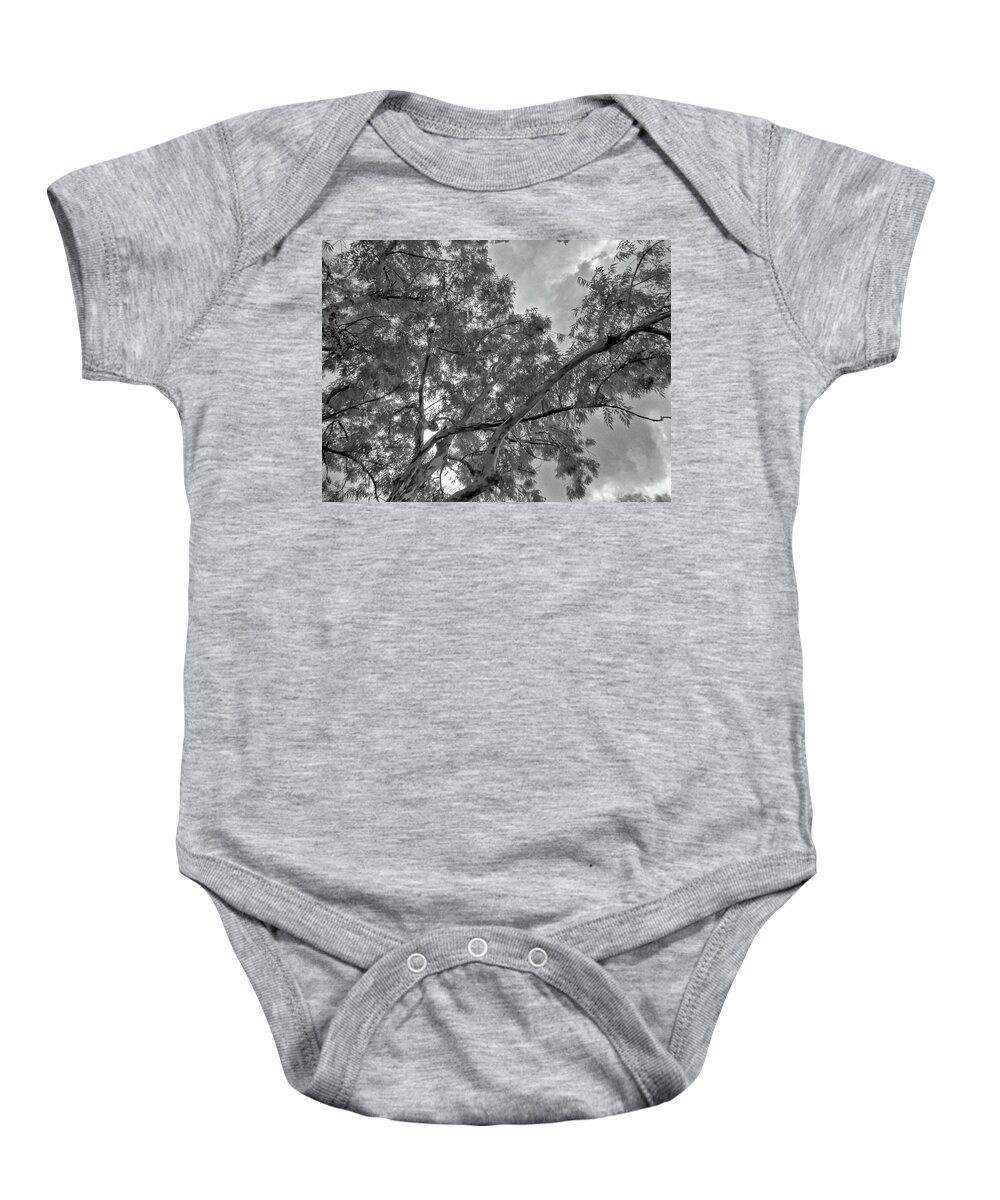 Tree Baby Onesie featuring the photograph Looking Up in Black and White Infrared by Alan Goldberg