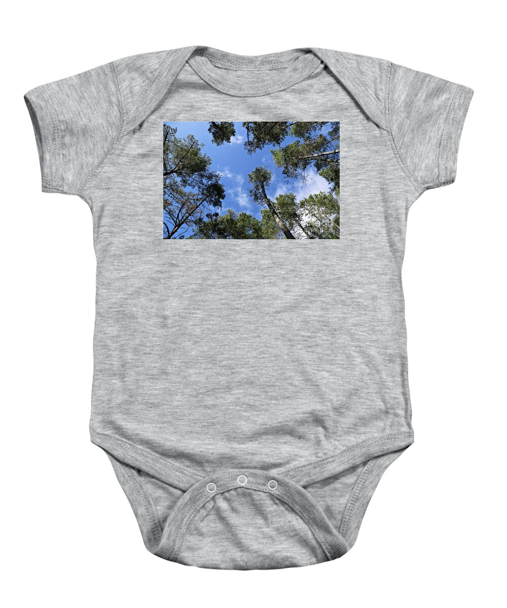 Trees Baby Onesie featuring the photograph Looking up through the Trees by Vivian Krug Cotton
