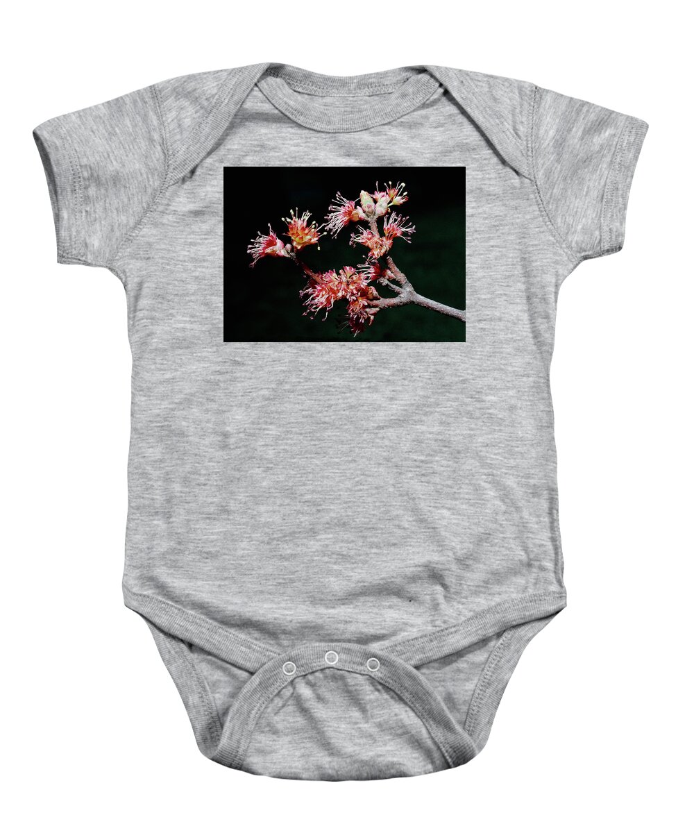 Macro Baby Onesie featuring the photograph Maple Blossom by Steven Nelson