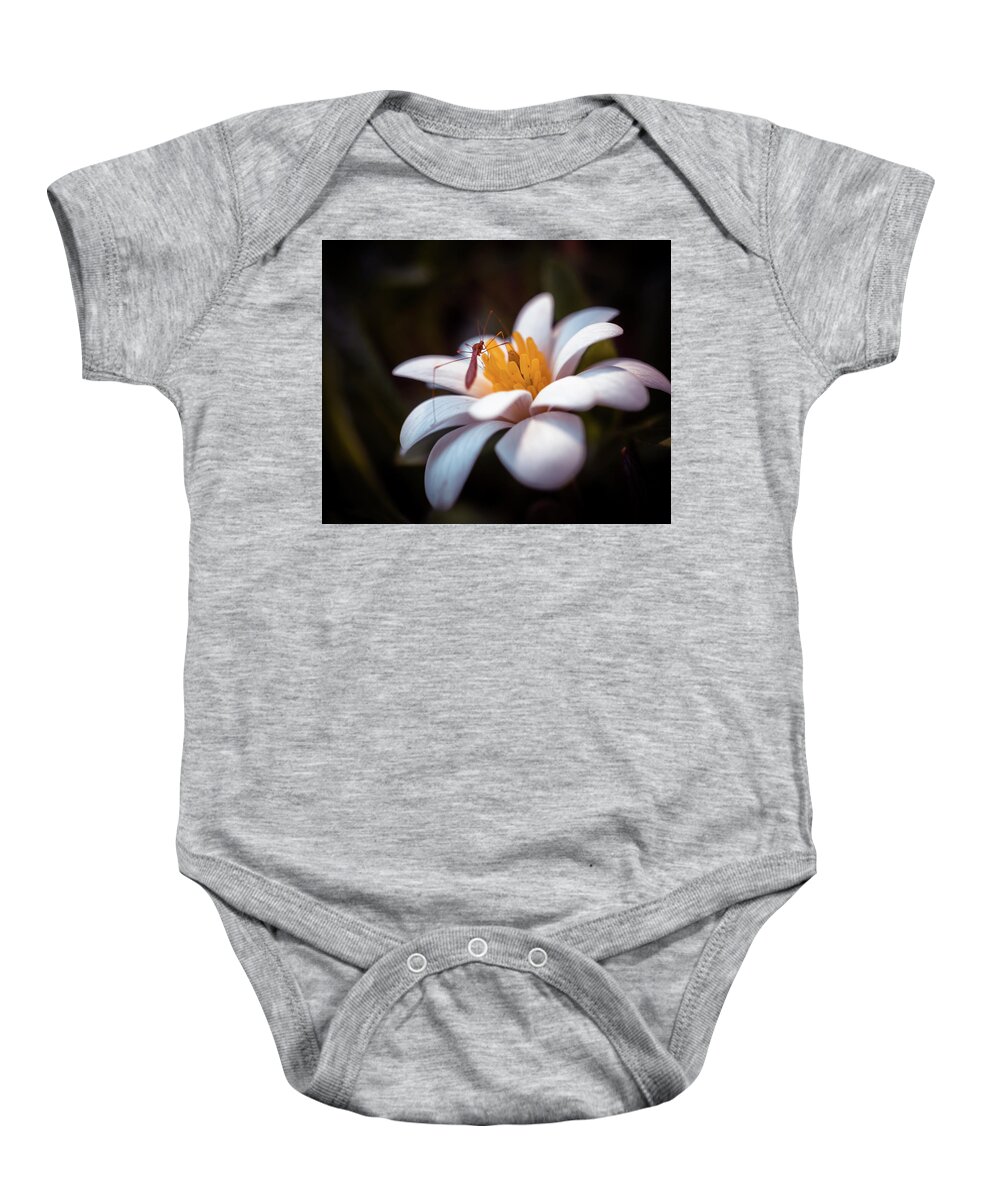 Spring Flowers Baby Onesie featuring the photograph Macro bug on spring flower by Lilia S