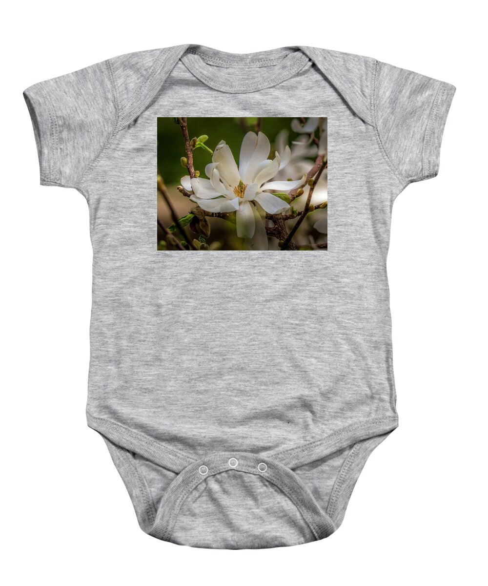 Spring Baby Onesie featuring the photograph Magnolia Flow by Susan Rydberg