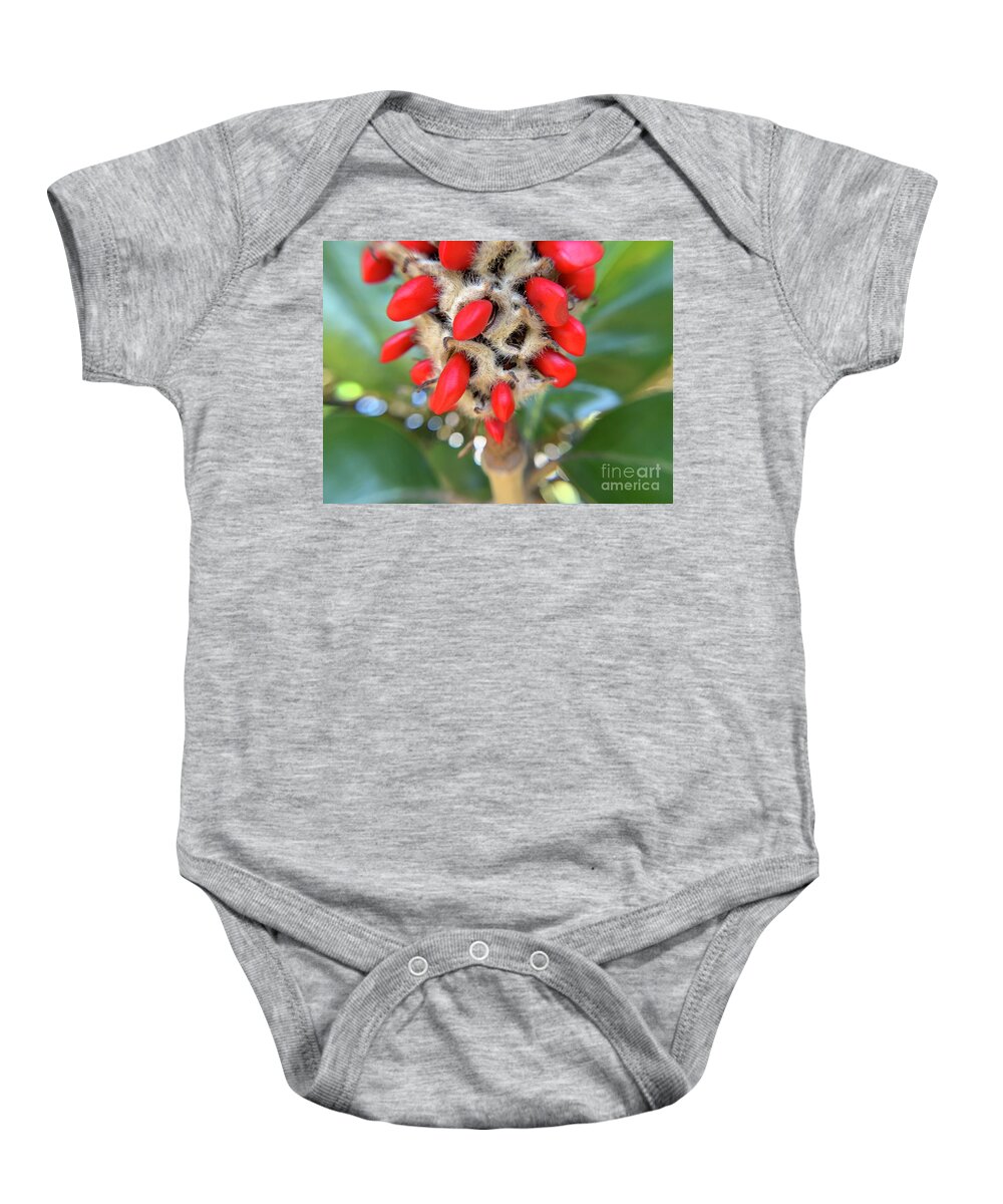 Magnolia Baby Onesie featuring the photograph Magnolia Tree Seeds by Catherine Wilson