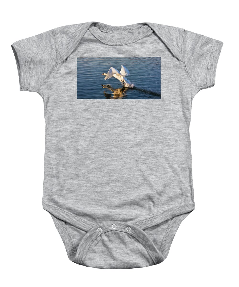 Male Baby Onesie featuring the photograph Male Swan taking off by Tatiana Travelways