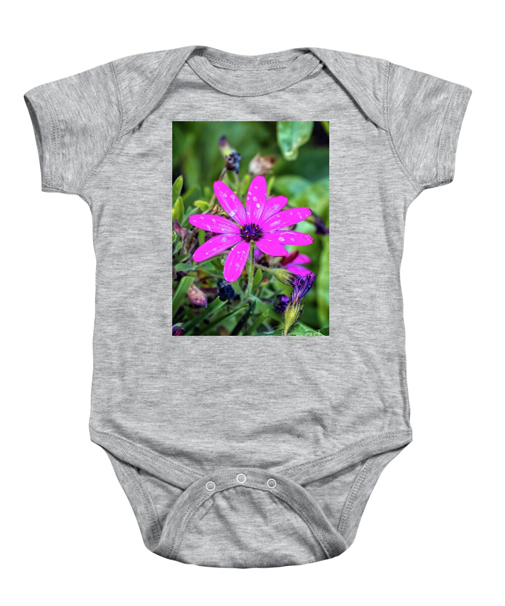 Daisy Baby Onesie featuring the photograph Marguerite Daisy Art by Adrian Evans