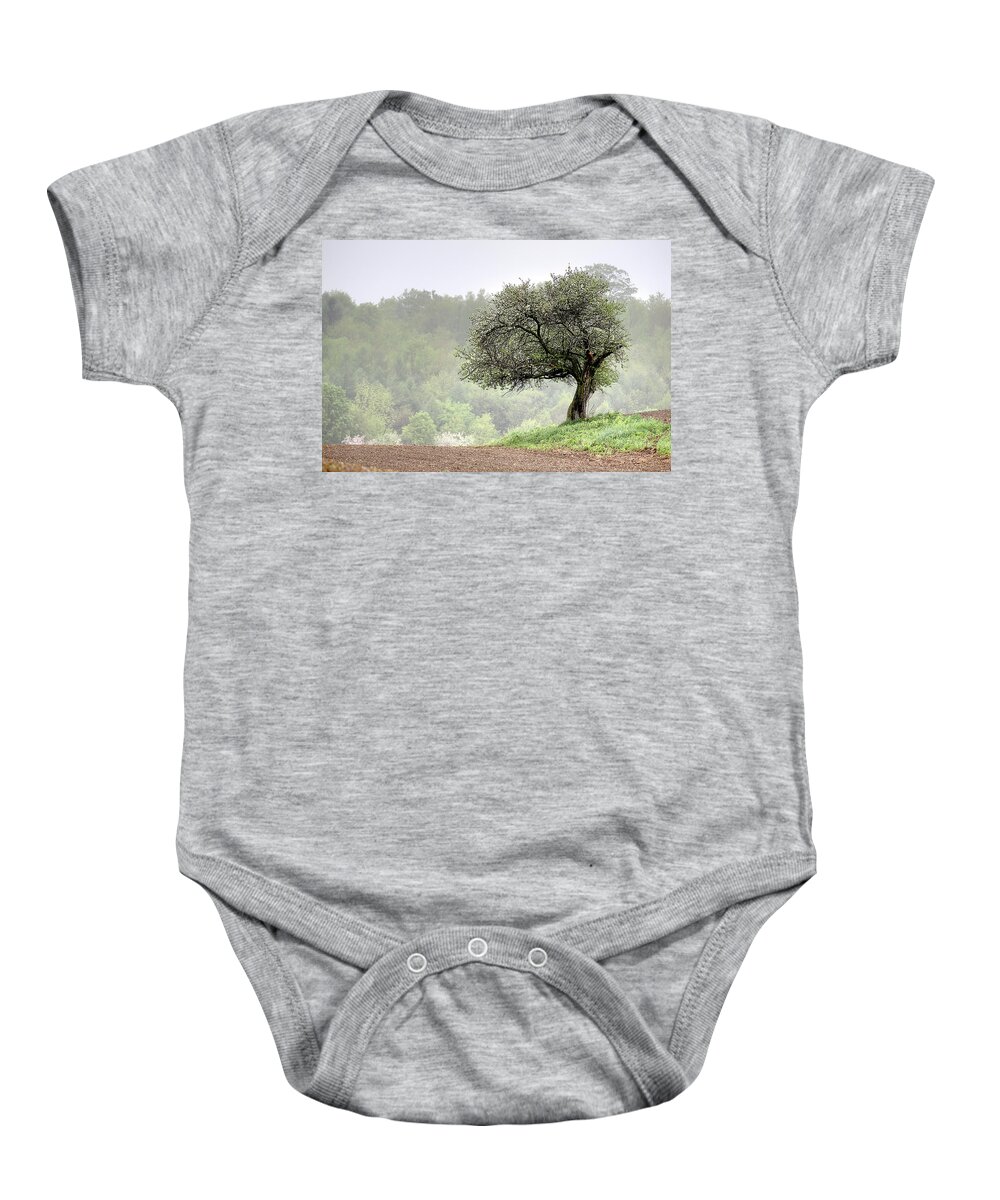 Trees Baby Onesie featuring the photograph Marilla Tree by Don Nieman