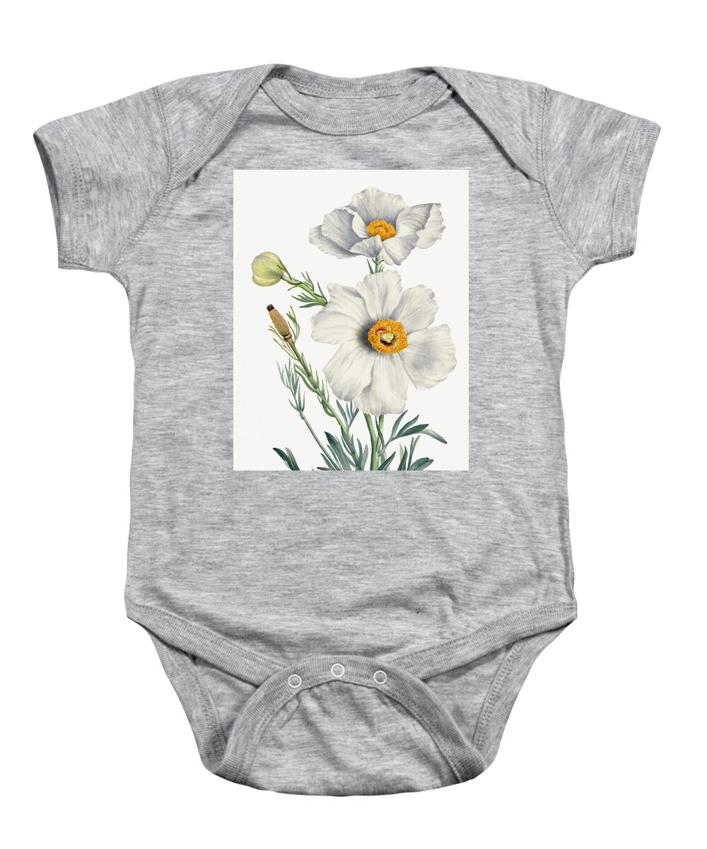 Poppy Baby Onesie featuring the painting Matilija Poppy by Mary Vaux Walcott by World Art Collective