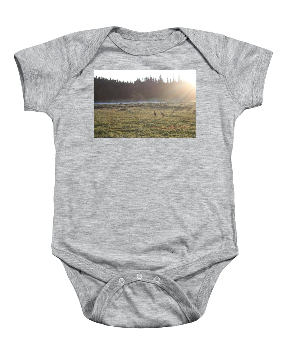 Mist Baby Onesie featuring the photograph Misty morning by Yvonne M Smith