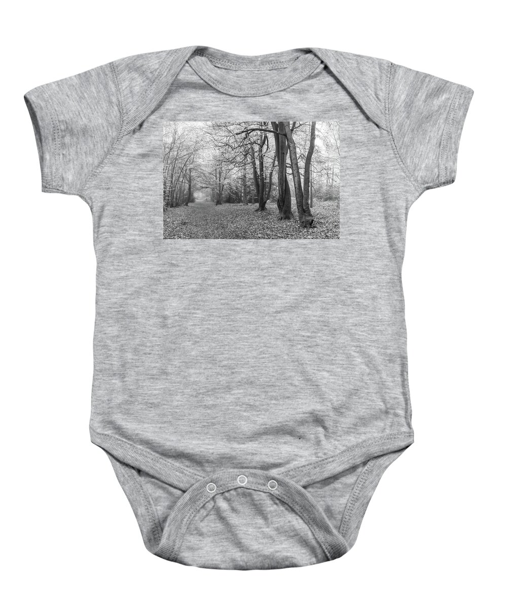 Mist Baby Onesie featuring the photograph Misty morning woods by Shirley Mitchell