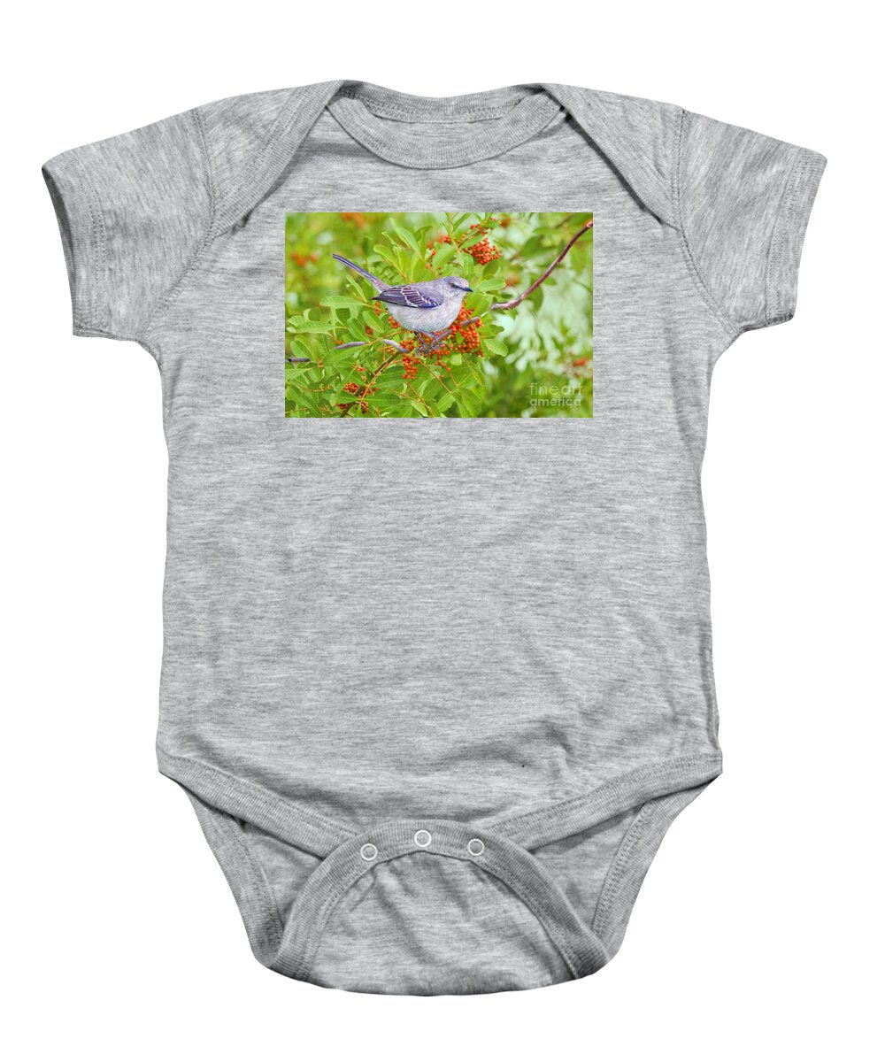 Birds Baby Onesie featuring the photograph Mockingbird and Berries by Judy Kay