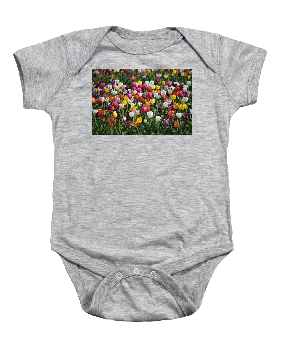 Tulips Baby Onesie featuring the photograph Motely by Thomas Schroeder