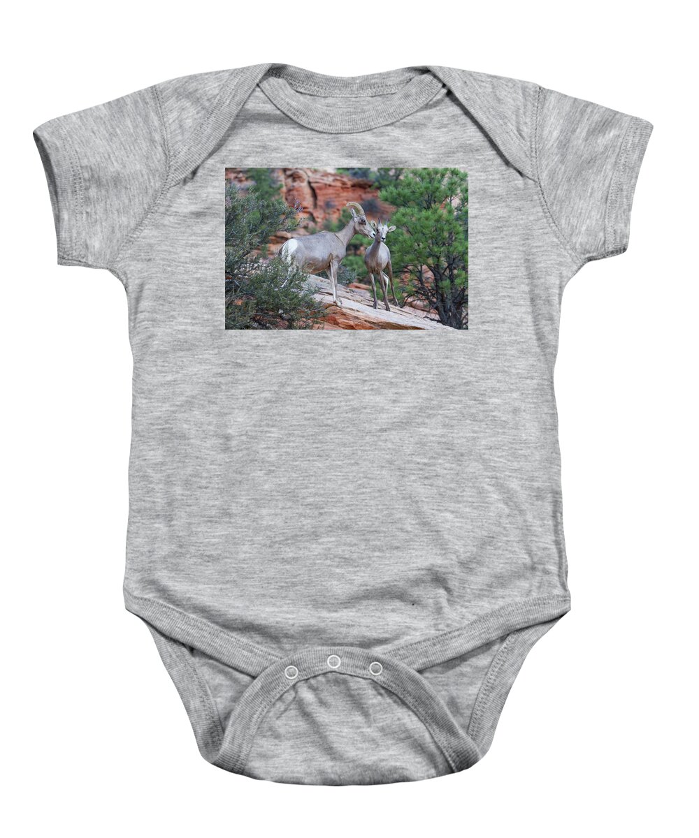 Zion Baby Onesie featuring the photograph Mother and Lamb by James Marvin Phelps