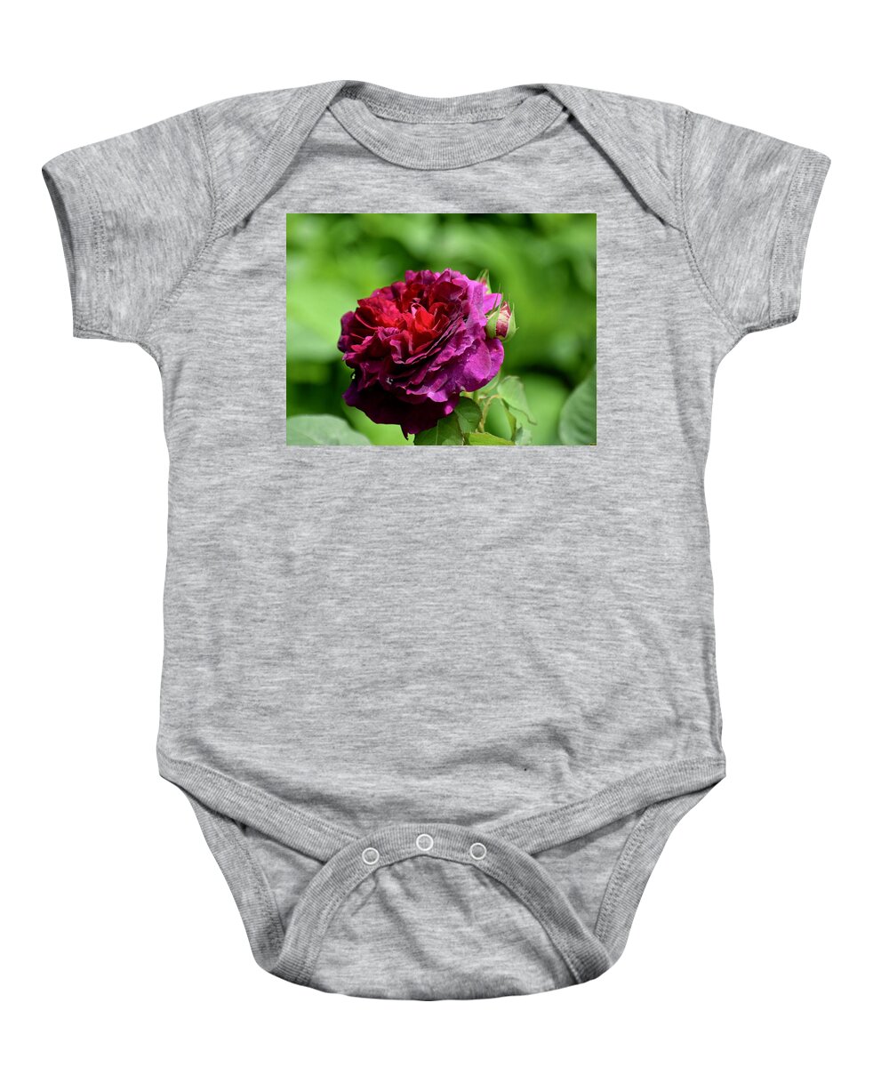 Munstead Wood Baby Onesie featuring the photograph Munstead Wood by Lynn Hunt
