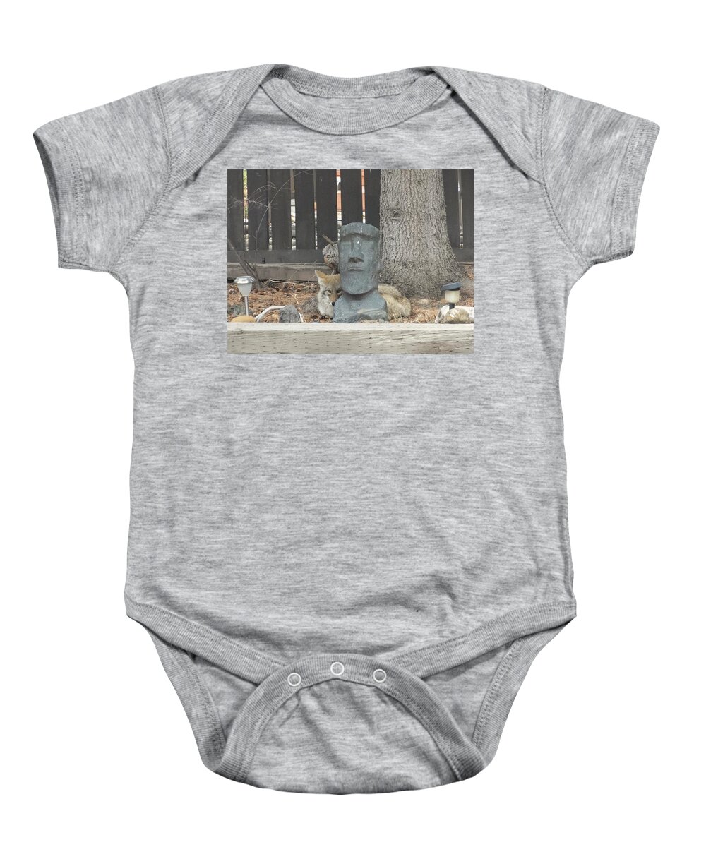 Coyote Baby Onesie featuring the photograph Napping coyote by Lisa Mutch