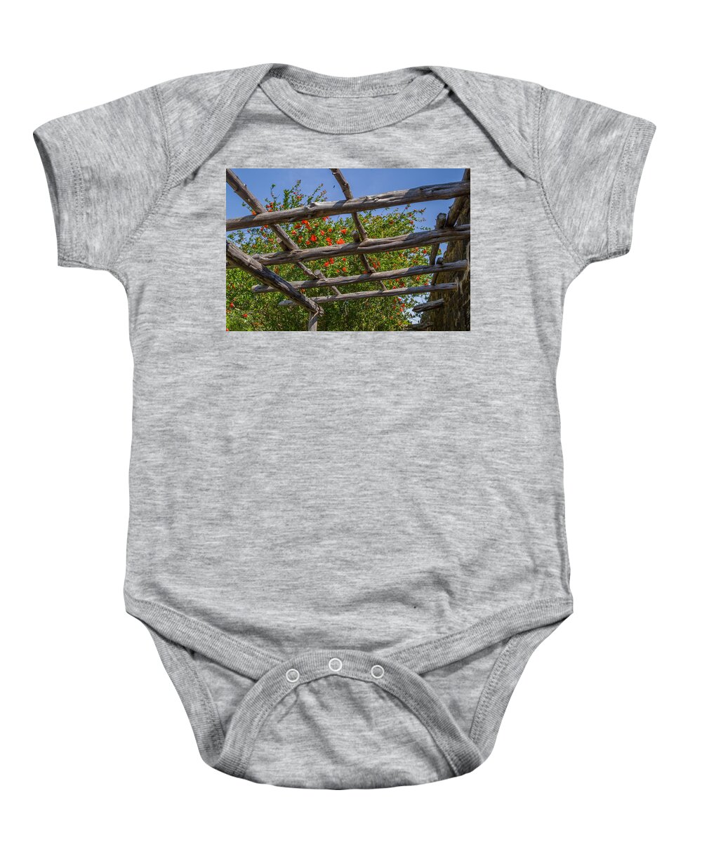 Flowers Baby Onesie featuring the photograph Natural Lattice by Kevin Craft