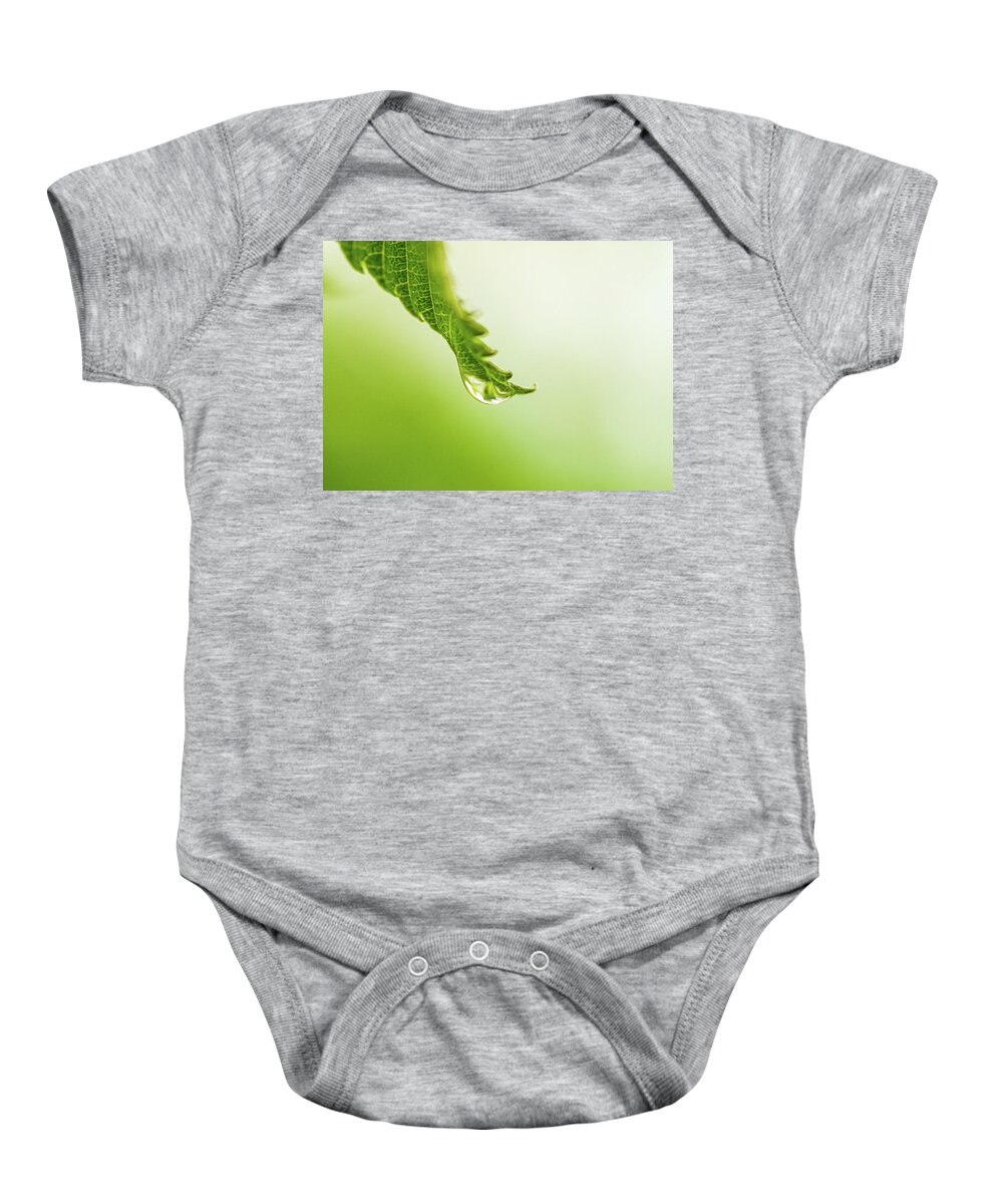 Plants Baby Onesie featuring the photograph Nature Photography - Rain by Amelia Pearn