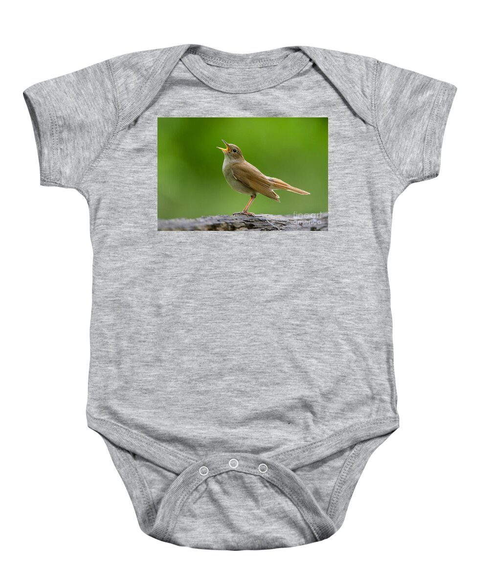 80179515 Baby Onesie featuring the photograph Nightingale Singing by Michael Durham