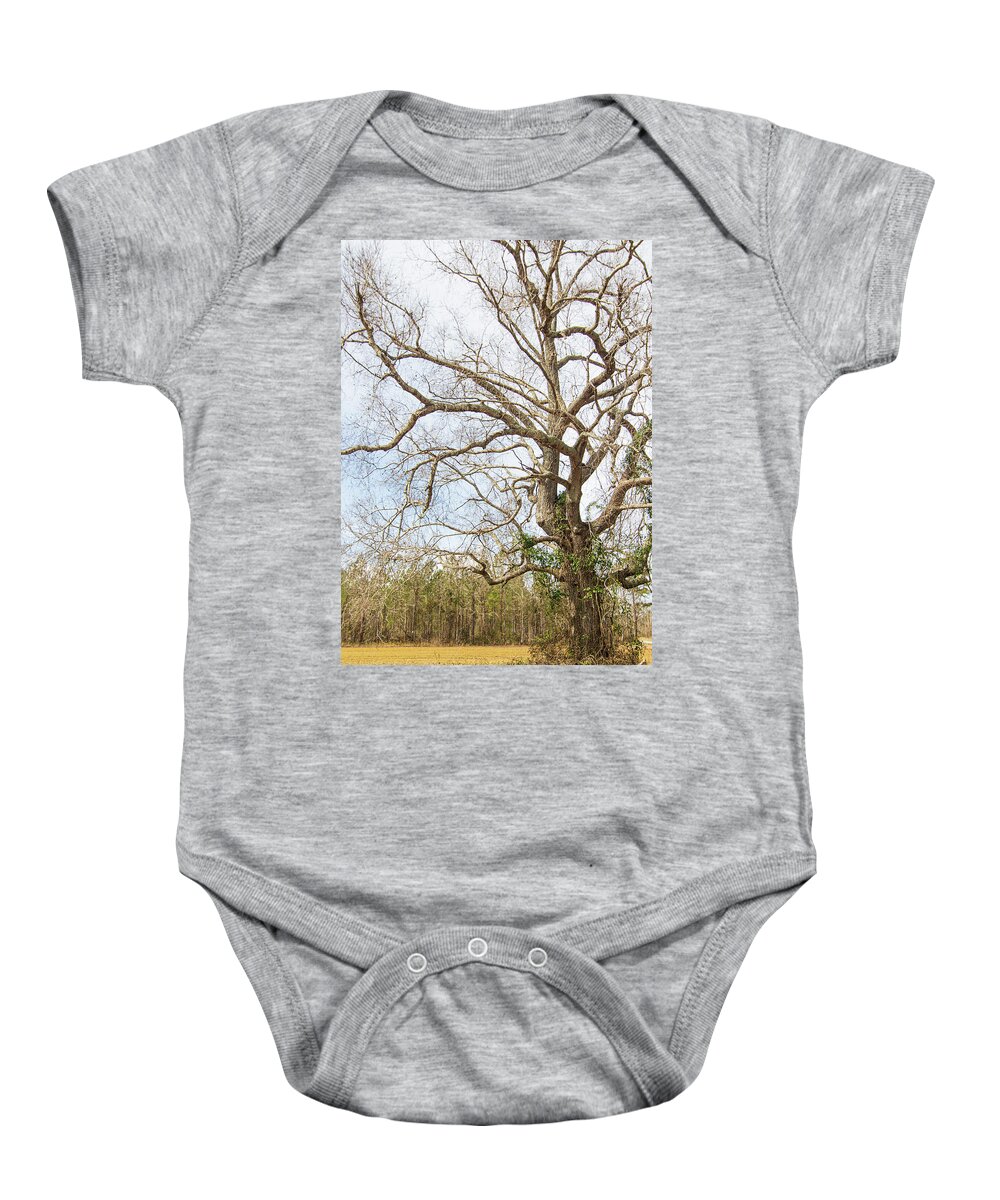Oak Baby Onesie featuring the photograph Oak Tree Along the Backroads - Pamlico County, North Carolina by Bob Decker