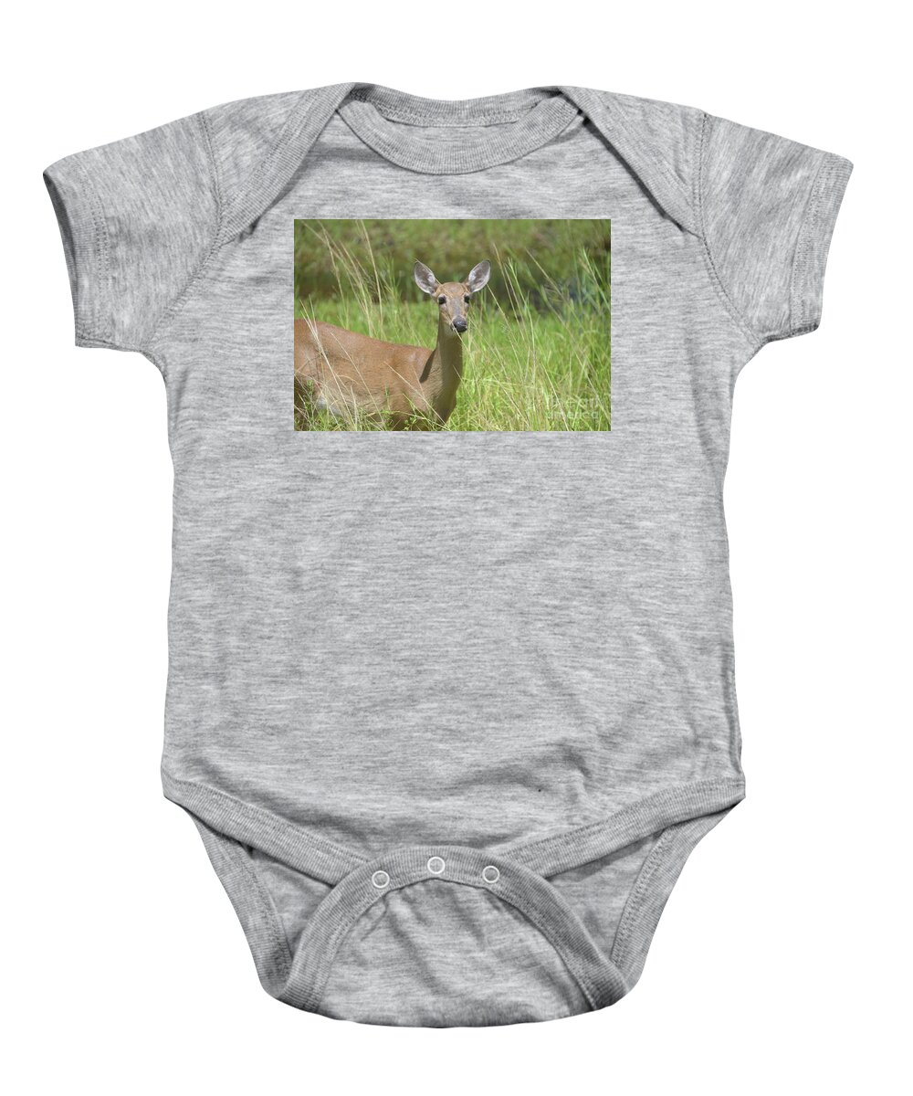 Wildlife Baby Onesie featuring the digital art Oh My Deer by Alison Belsan Horton