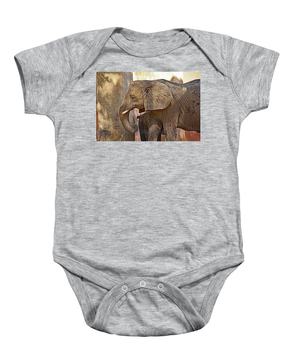 Old Wise Brown Elephant 2 9102013 2 Baby Onesie featuring the photograph Old wise brown elephant 2 9102013 2 by David Frederick