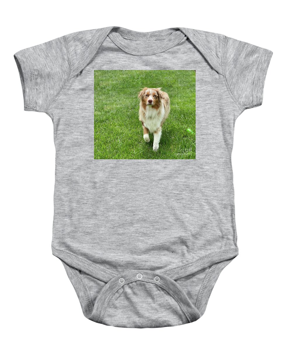 Ollie Baby Onesie featuring the photograph Ollie by Cathy Donohoue
