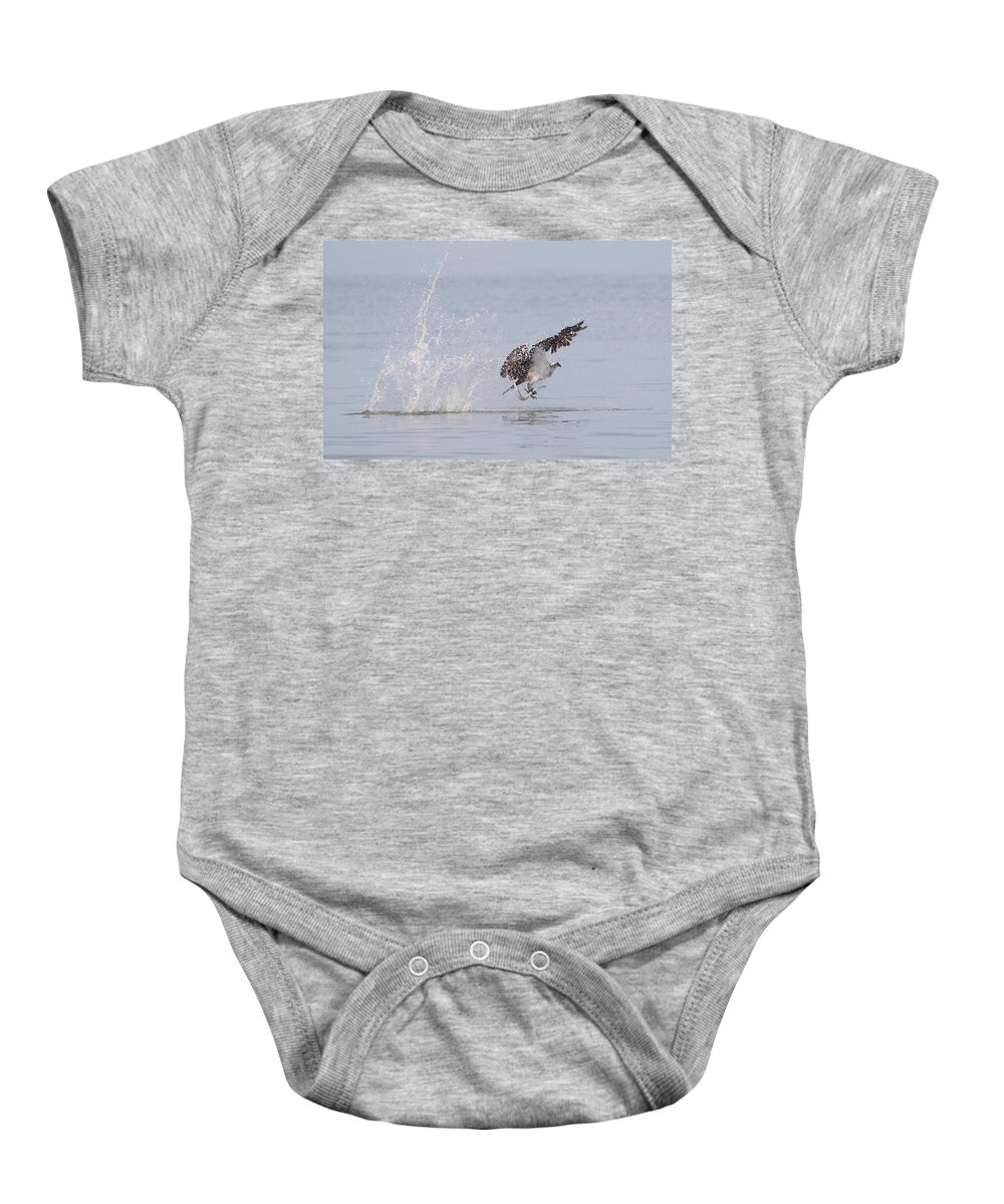 Osprey Baby Onesie featuring the photograph Osprey with a Needle Fish by Mingming Jiang
