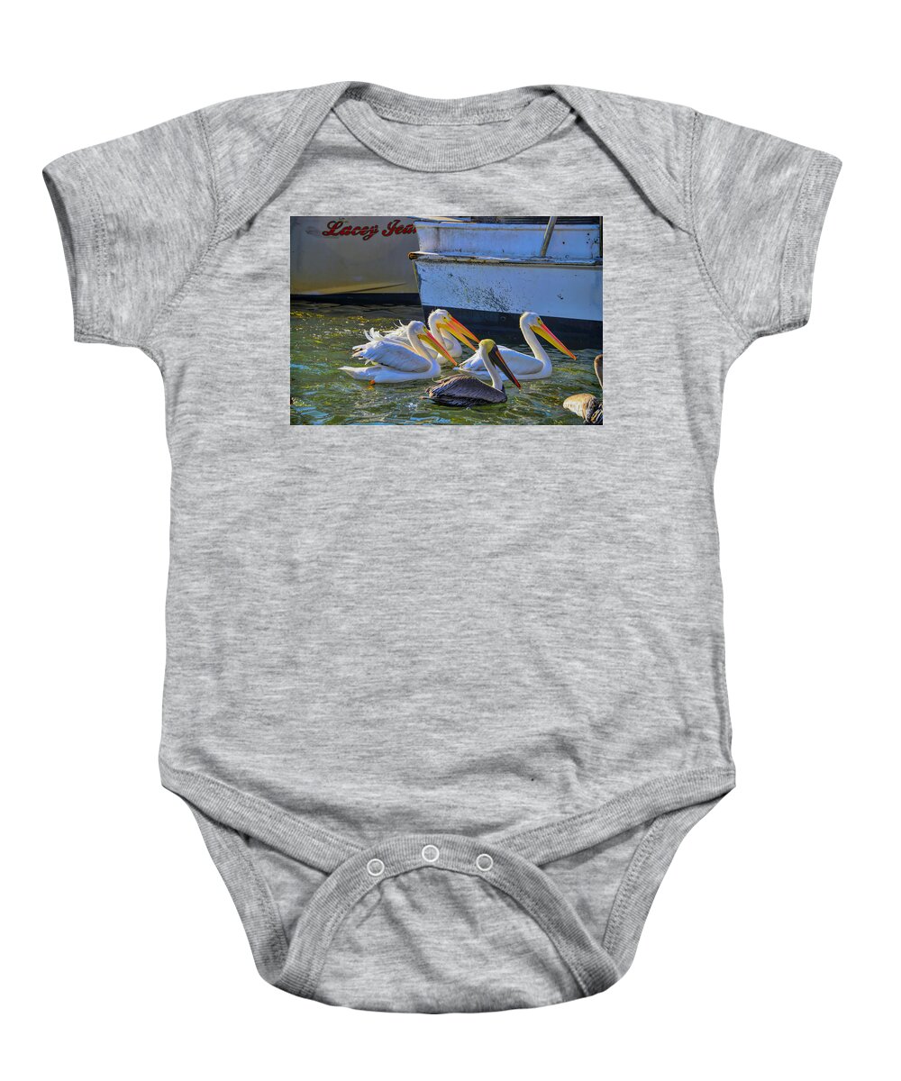 White Pelicans Baby Onesie featuring the photograph Out Shopping by Alison Belsan Horton