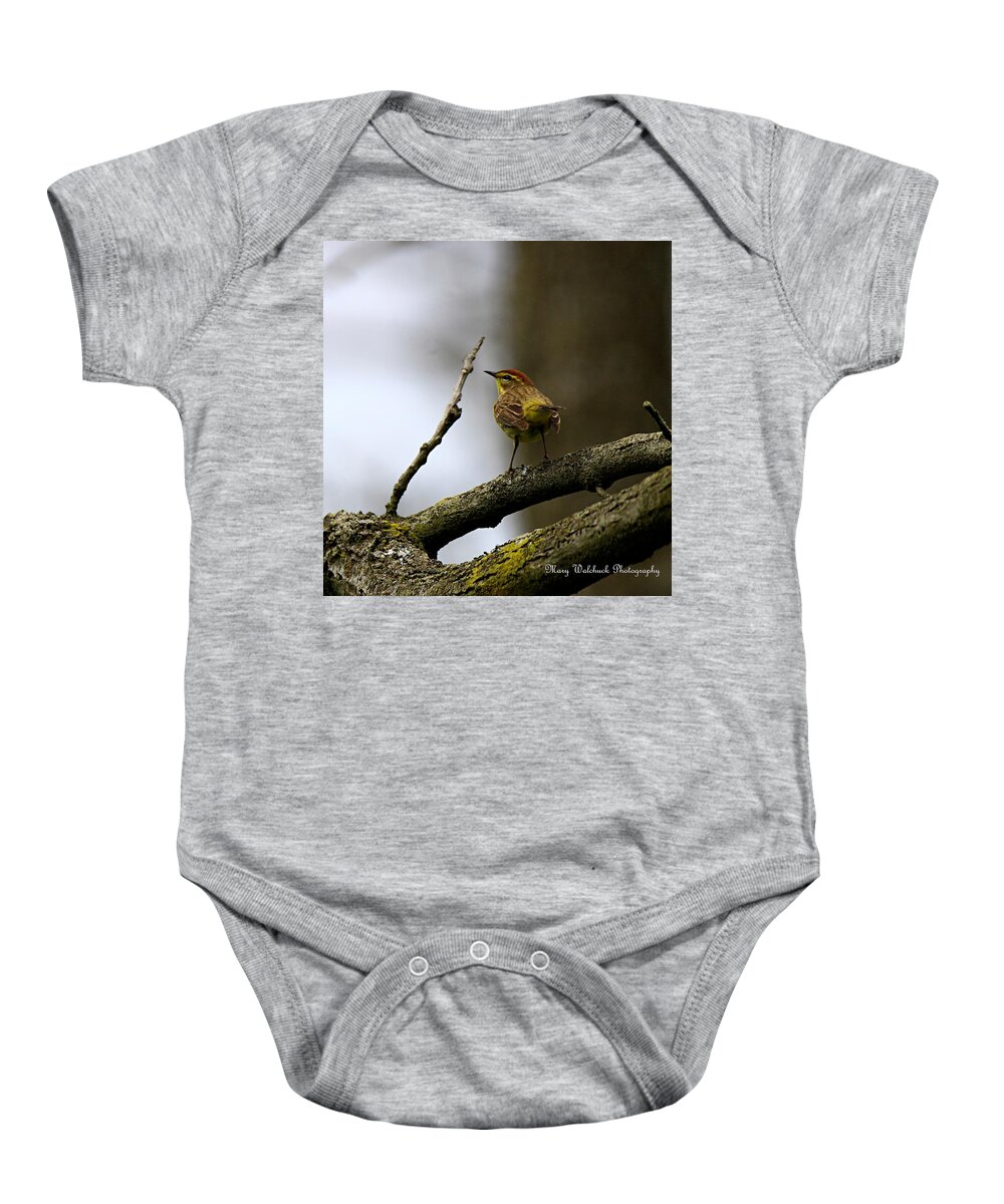 Palm Warbler Baby Onesie featuring the photograph Palm Warbler by Mary Walchuck