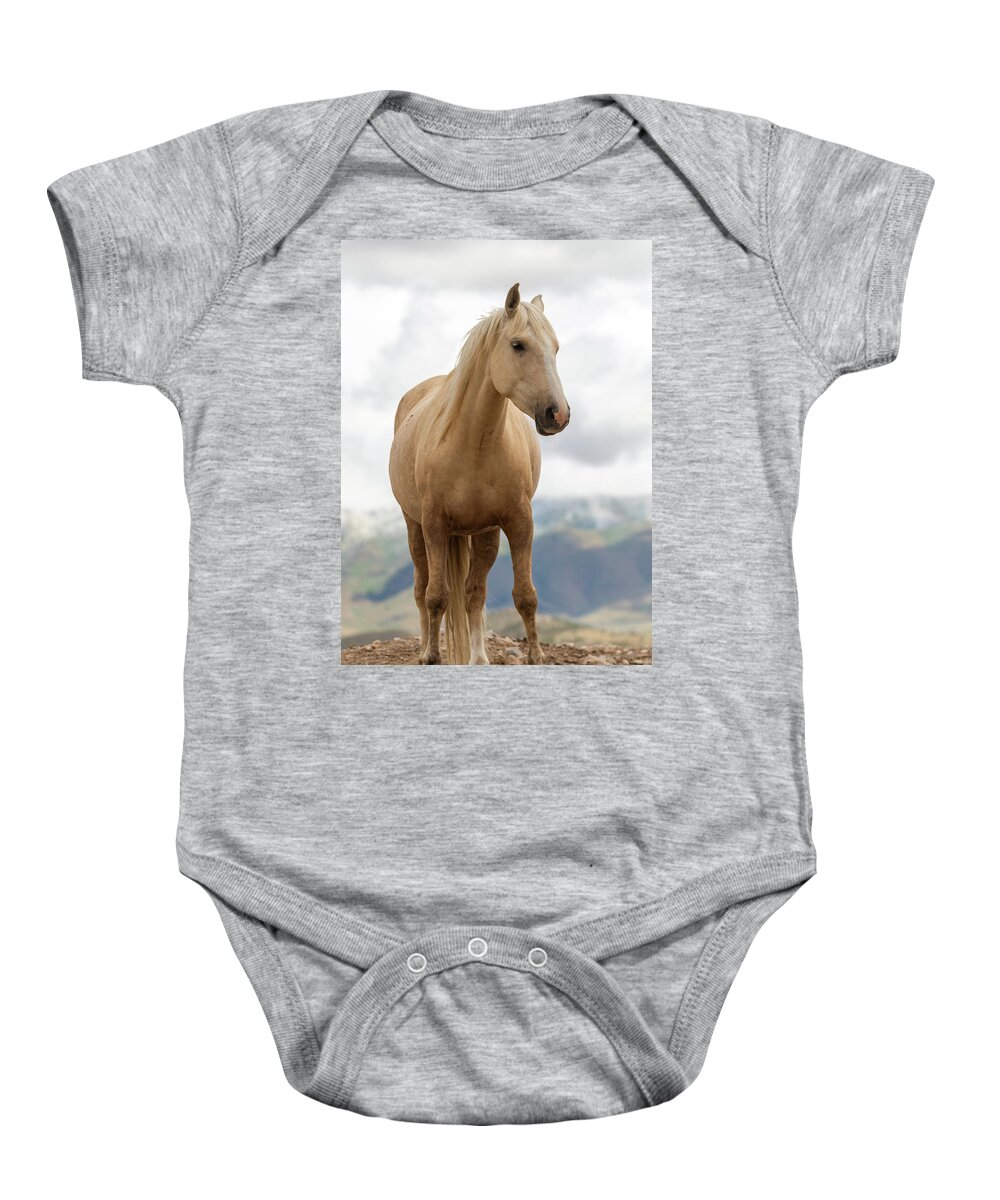 Horses Baby Onesie featuring the photograph Palomino by Mary Hone