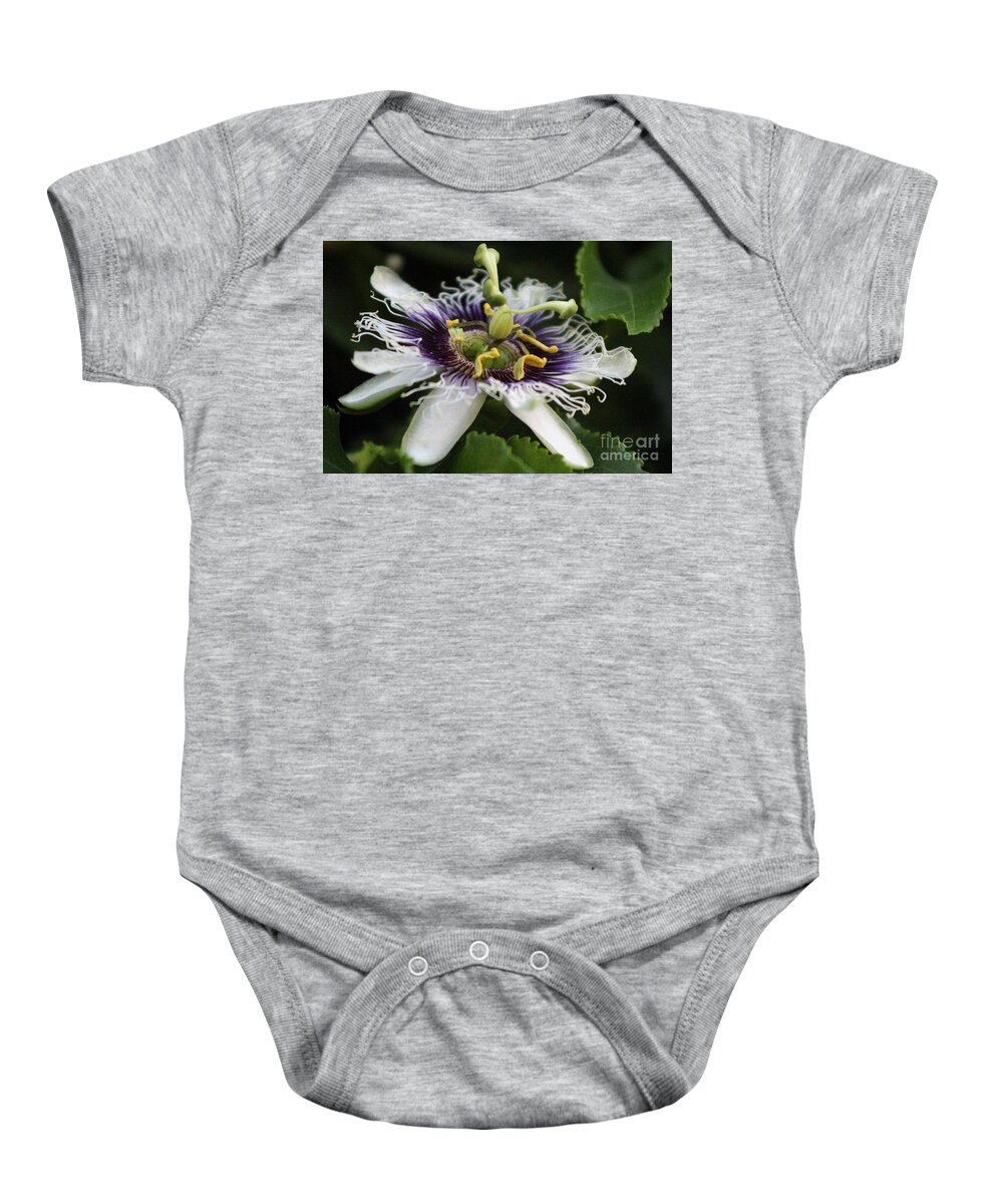 Passion Fruit Baby Onesie featuring the photograph Passion Flower Closeup 3 by Colleen Cornelius