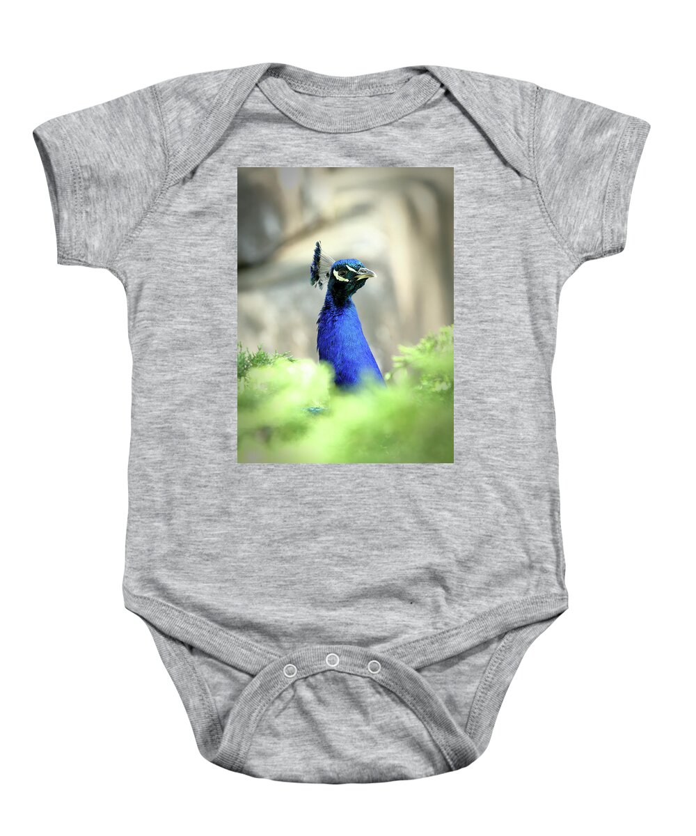Bird Baby Onesie featuring the photograph Peacock-A-Boo by Lens Art Photography By Larry Trager