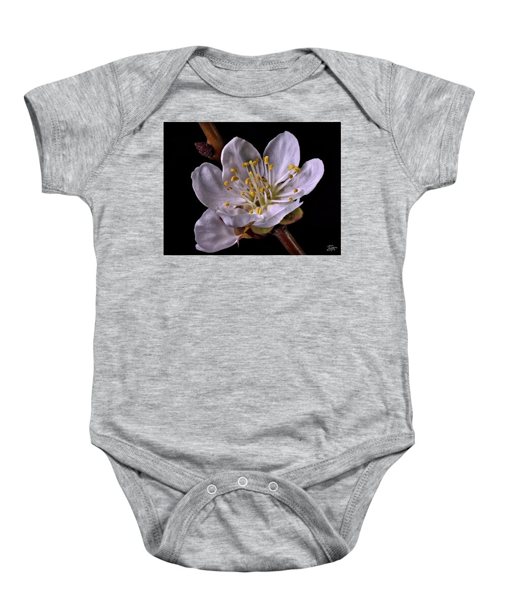 Apricot Baby Onesie featuring the photograph Apricot Blossom 1 by Endre Balogh