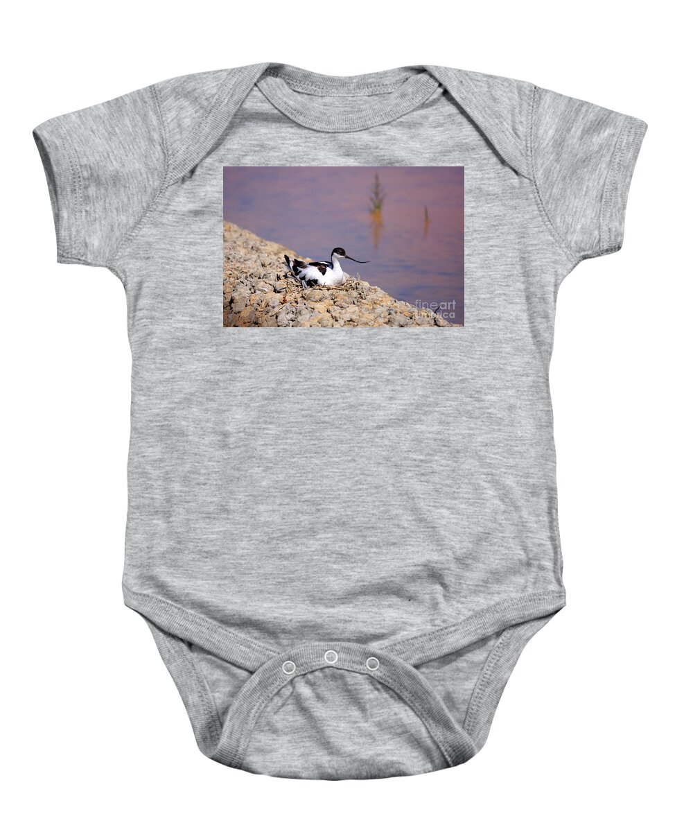 Avocet Baby Onesie featuring the photograph Pied avocet . by Frederic Bourrigaud