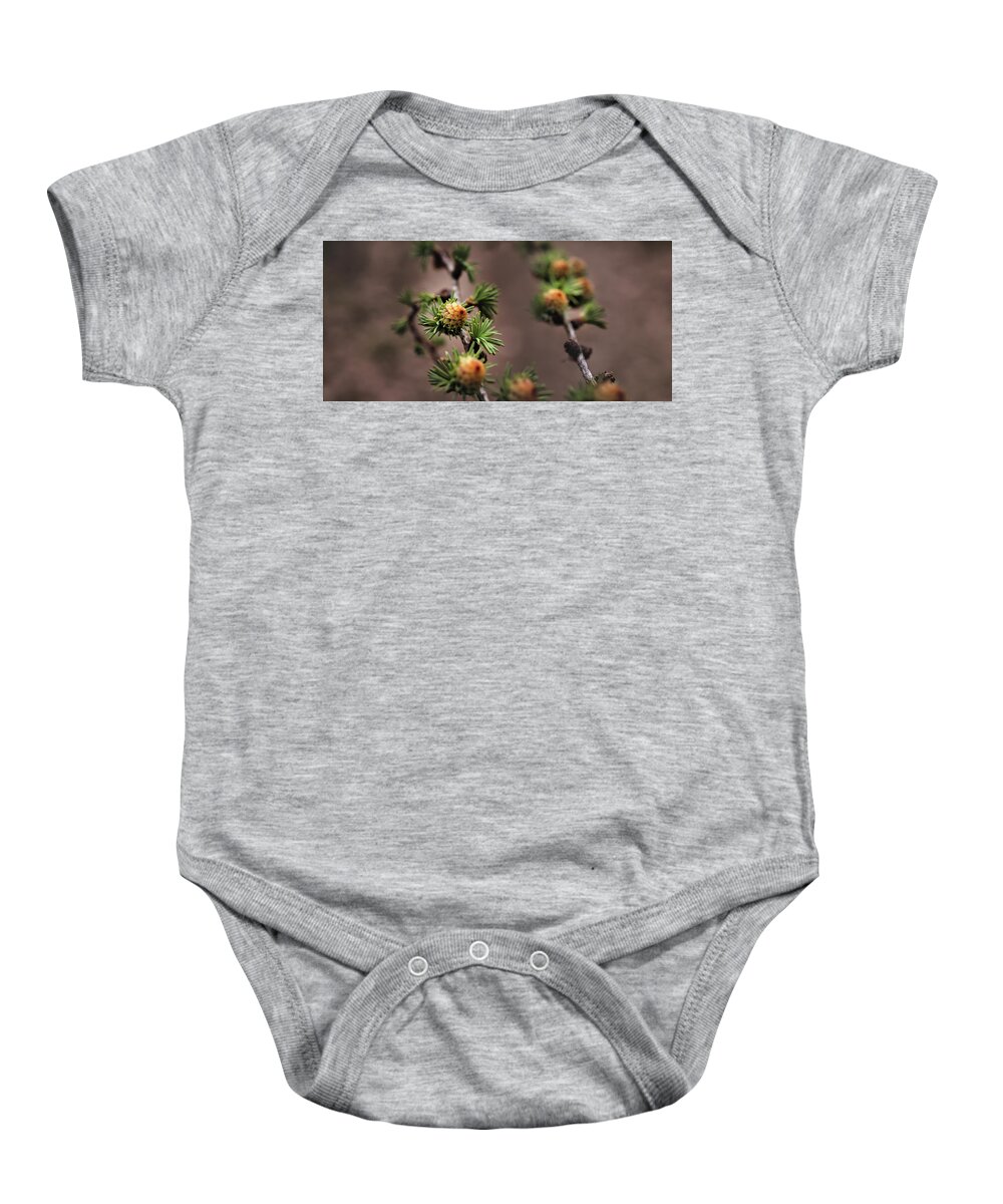 Tree Baby Onesie featuring the photograph Pine cones by M Fotograaf