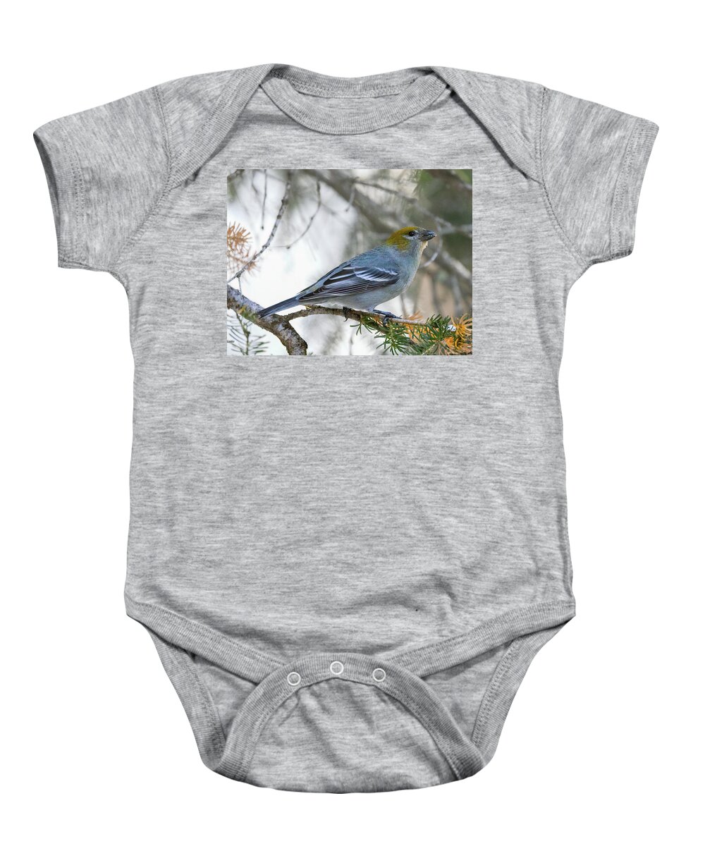 Yellowstone National Park Baby Onesie featuring the photograph Pine Grosbeak in Winter - Female by Cheryl Strahl