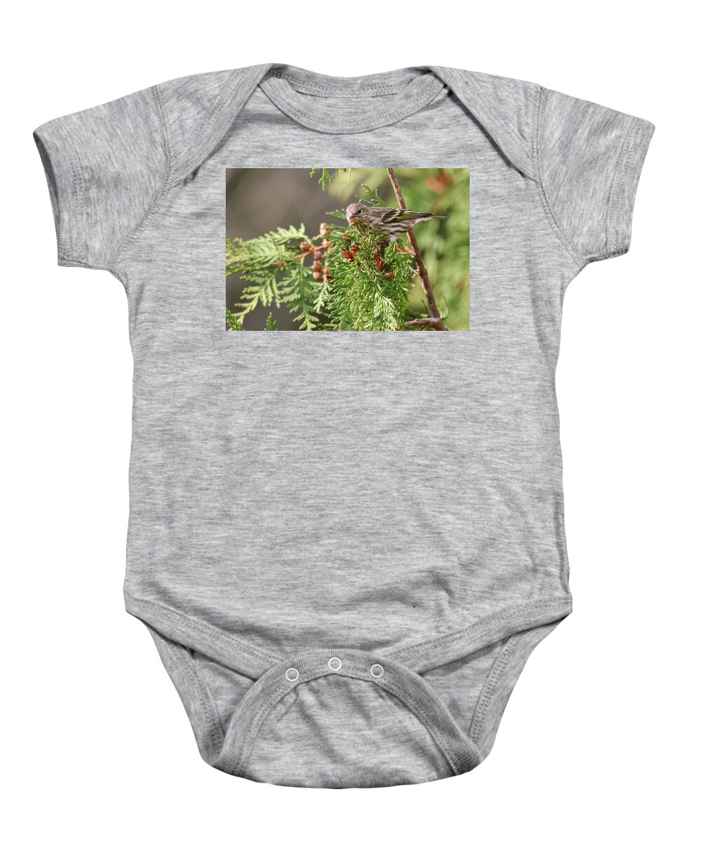 Autumn Baby Onesie featuring the photograph Pine Siskin by Brook Burling