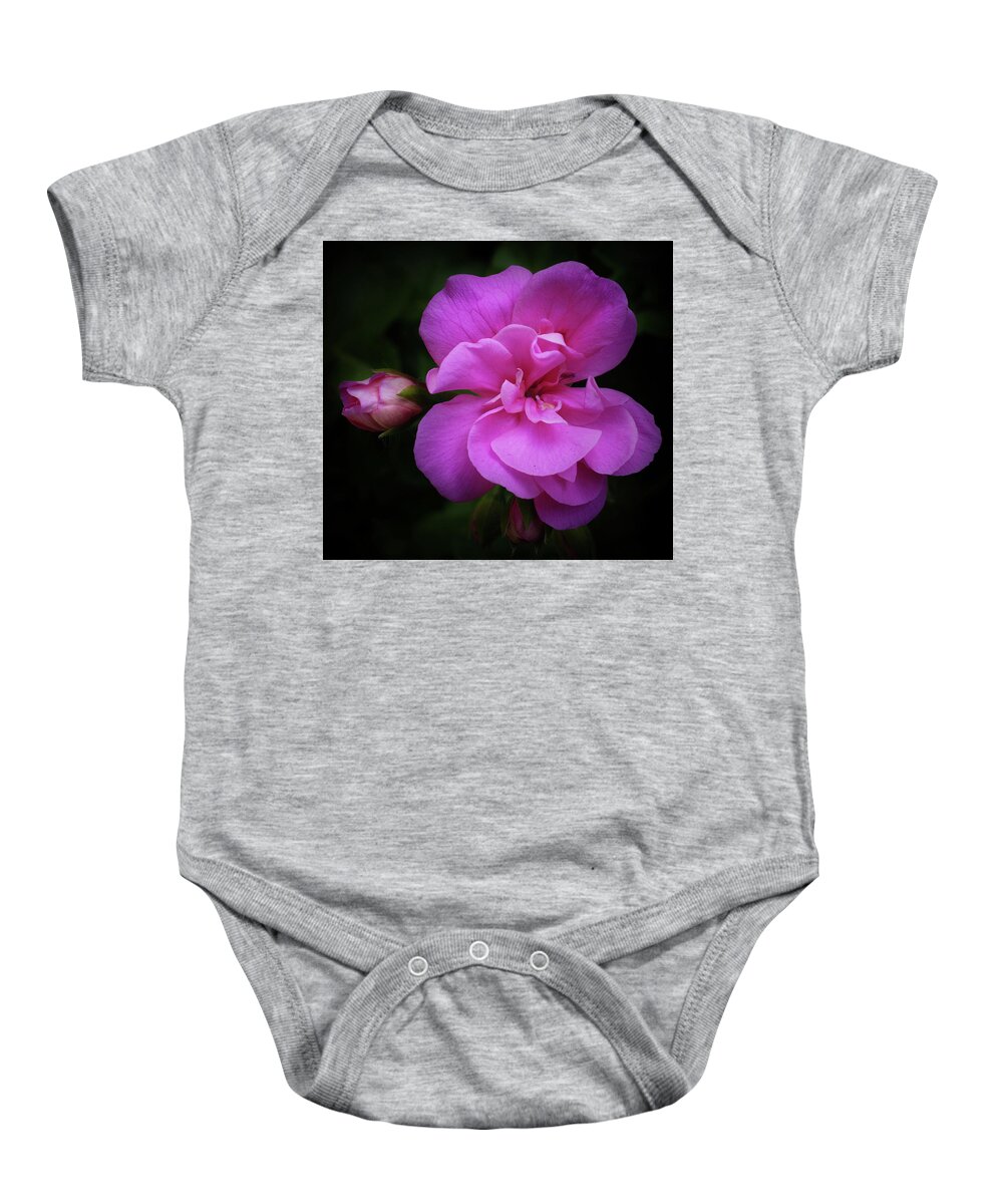 Pink Baby Onesie featuring the photograph Pink Rose Bloom and Bud Vignetted by James C Richardson