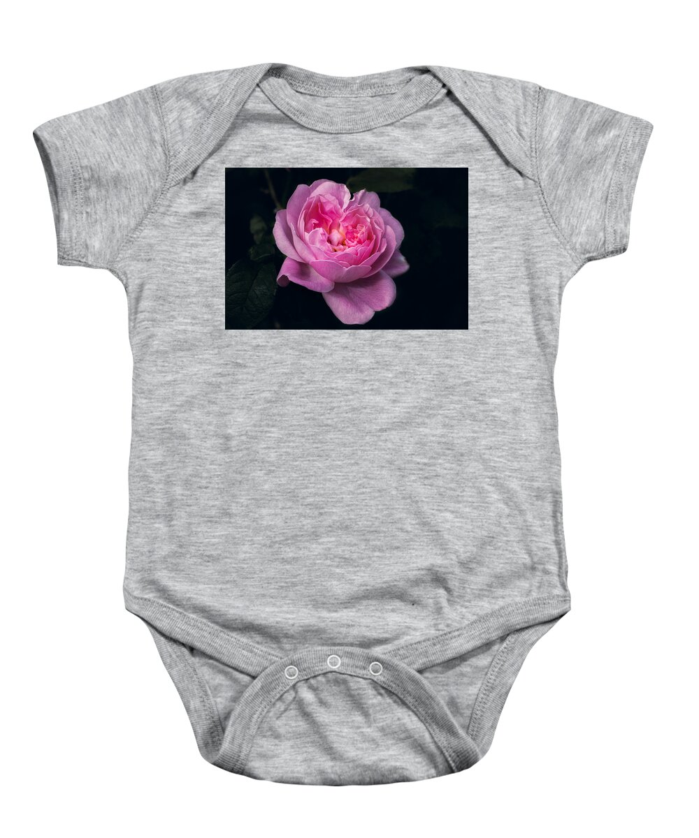 Pink Baby Onesie featuring the photograph Pink Rose by Carrie Hannigan