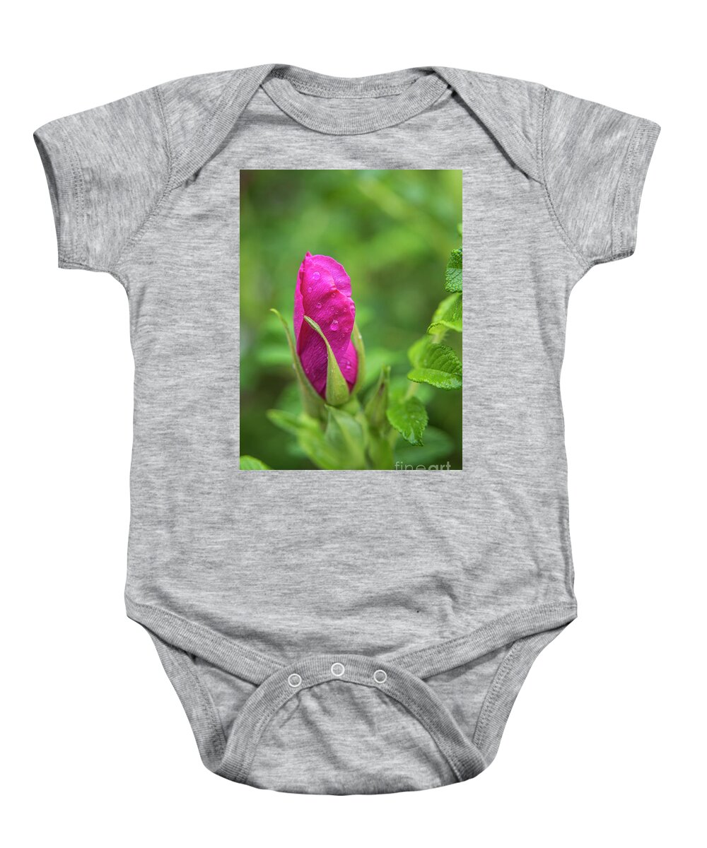 Pink Baby Onesie featuring the photograph Pink Roses Bud by Alana Ranney