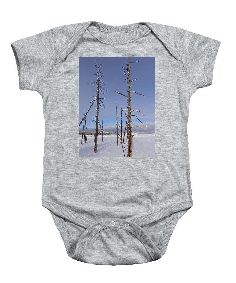 Yellowstone National Park Baby Onesie featuring the photograph Pole Pines in Yellowstone by Cheryl Strahl