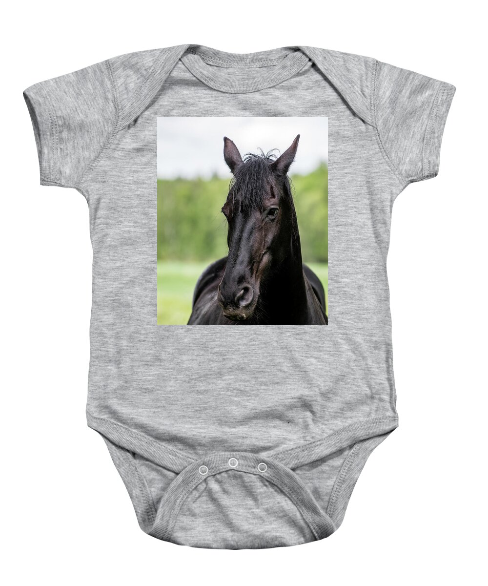 Friesian Horse Baby Onesie featuring the photograph Portrait of a Friesian Horse by Torbjorn Swenelius