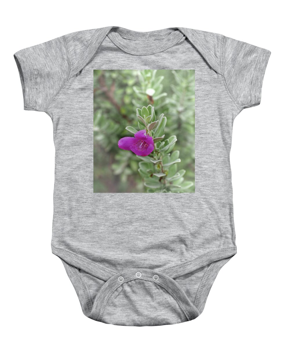 Flower Baby Onesie featuring the photograph Portrait of a Solitary Flower by James C Richardson