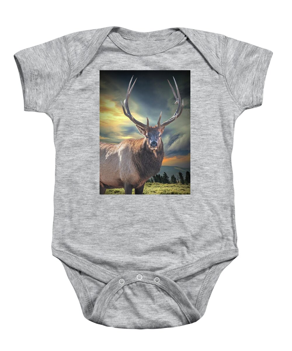 Nature Baby Onesie featuring the photograph Portrait of an Elk in Yellowstone National Park. by Randall Nyhof