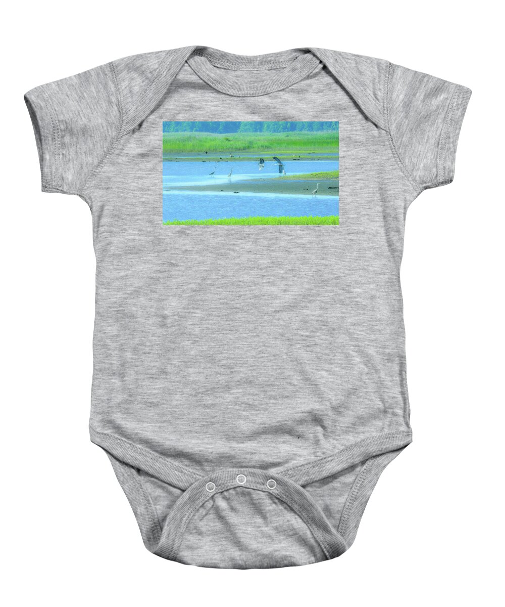 Great Herons Baby Onesie featuring the photograph Prehistoric #2 by Addison Likins