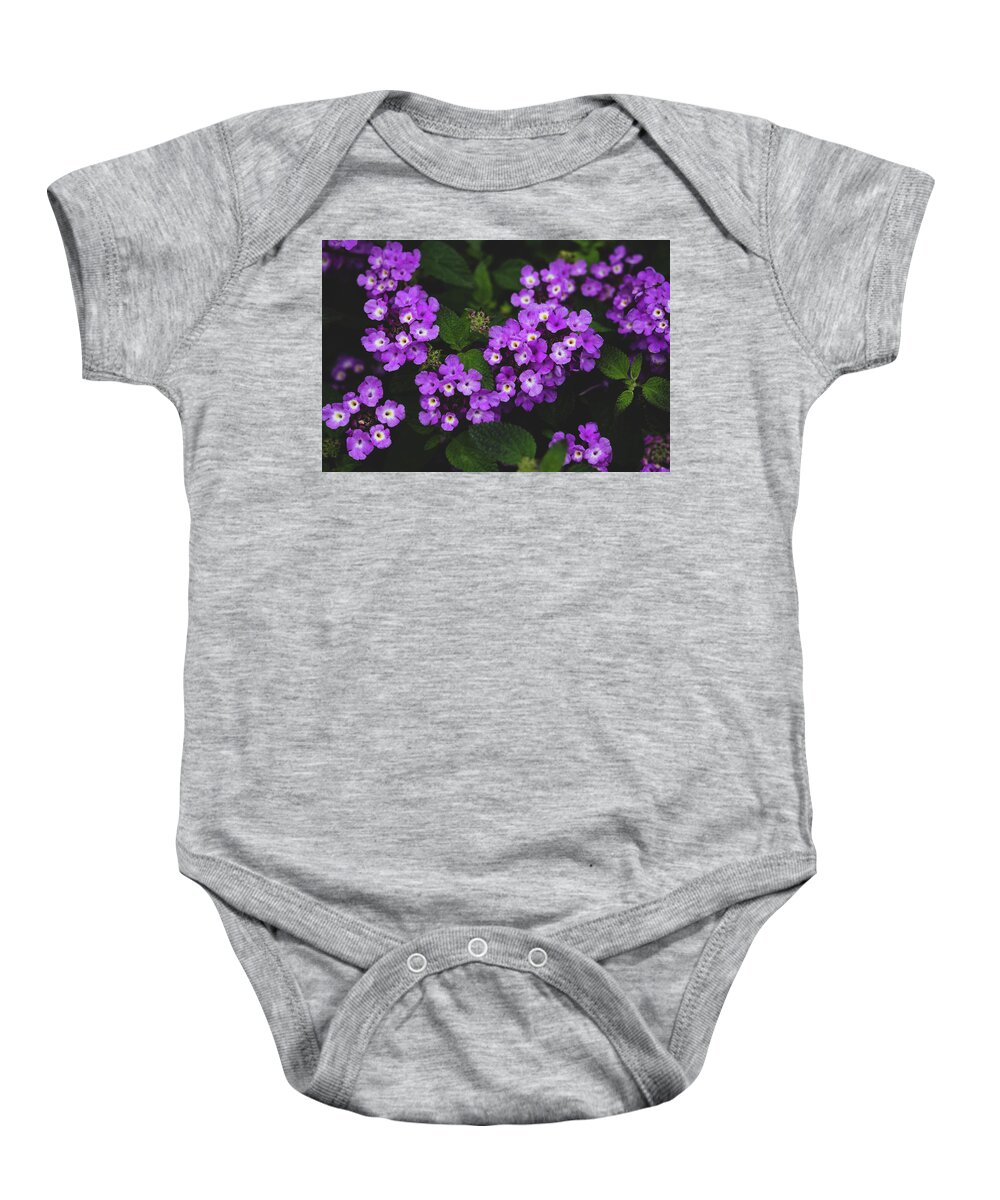 Flowers & Plants Baby Onesie featuring the photograph Purple Lantana by Adam Johnson