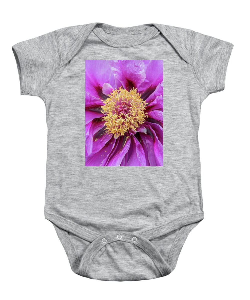 Flower Baby Onesie featuring the photograph Purple Tree Peony by Dawn Cavalieri