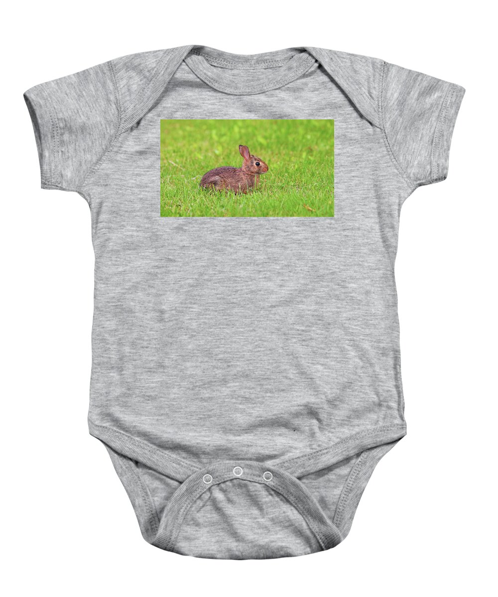 Animals Baby Onesie featuring the photograph Rabbit in the Grass by Amelia Pearn