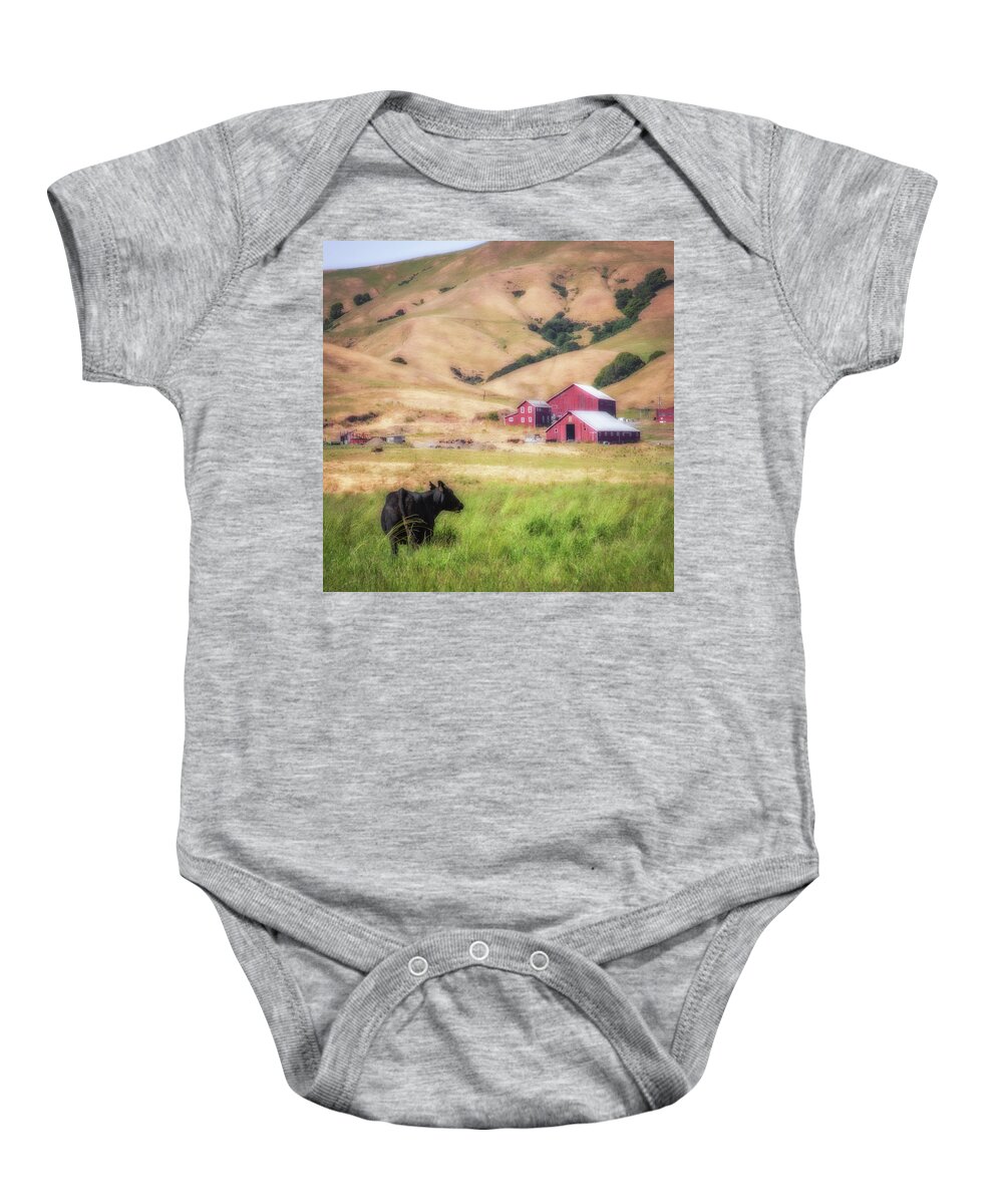 Ranch Baby Onesie featuring the photograph Ranch on Hick's Valley Road by Donald Kinney